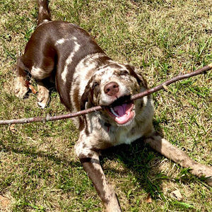 Meet your Posher, Camden